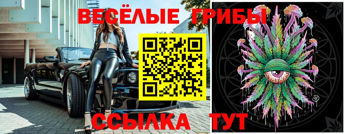 Галлюциногенные грибы Cubensis  Вход с VPN  Южноуральск 